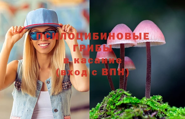 молекула духа Балахна