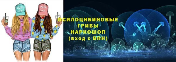молекула духа Балахна